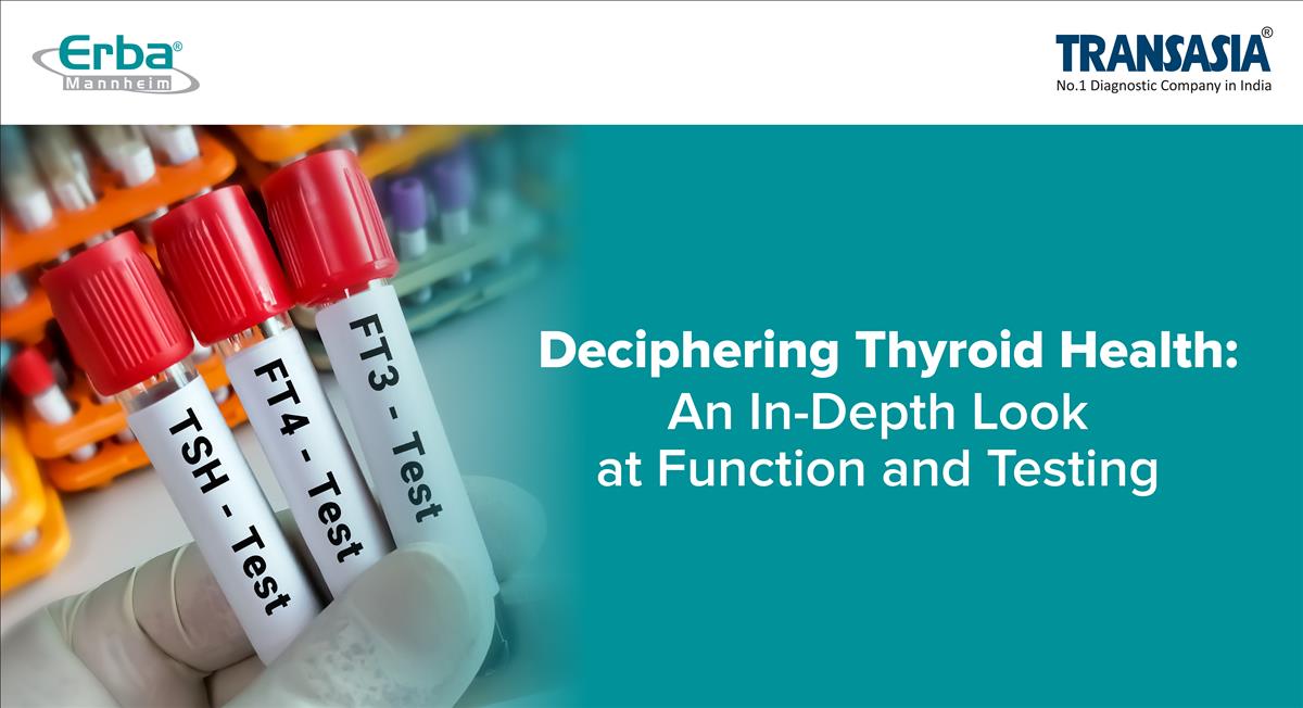 Thyroid function tests